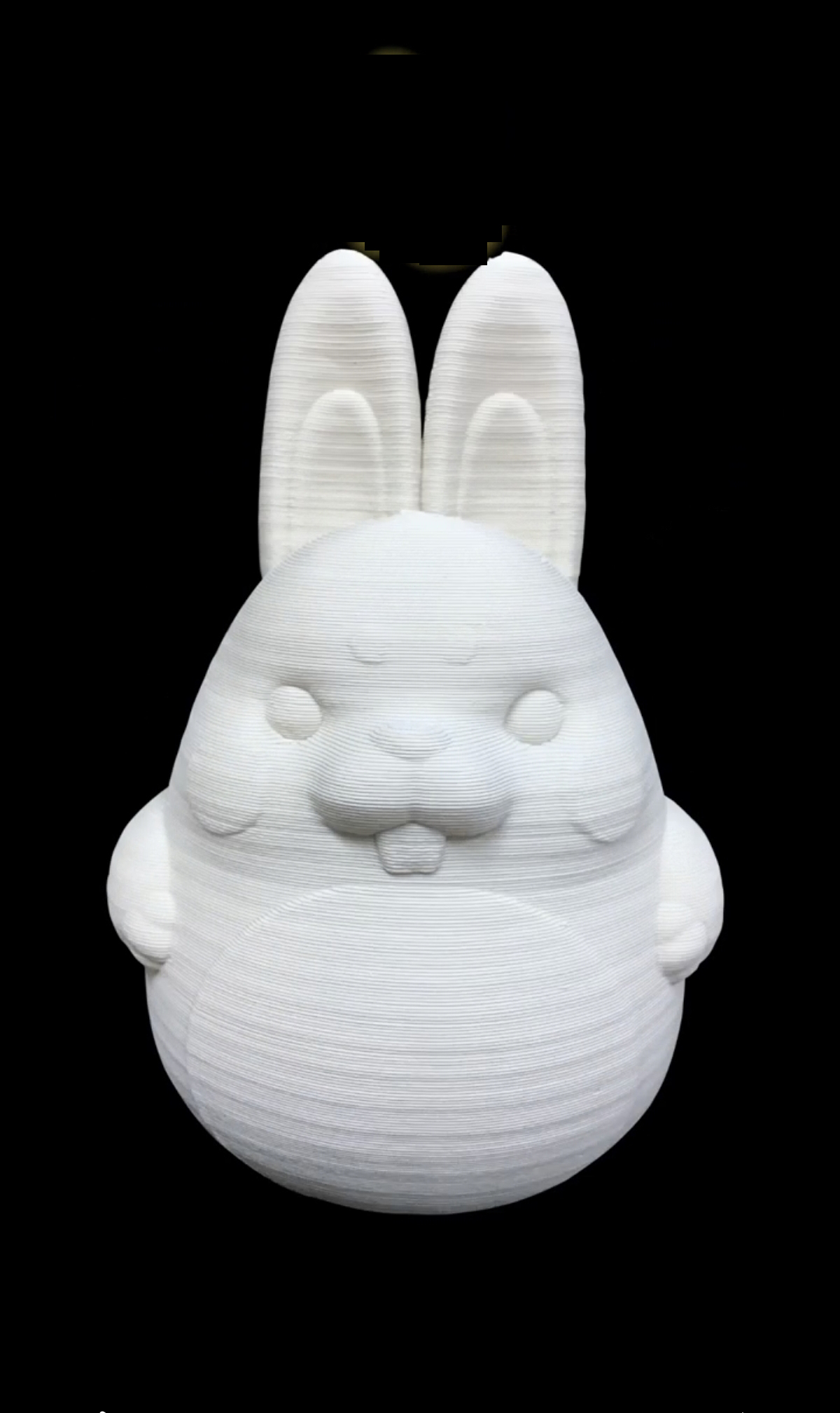 Printed Image