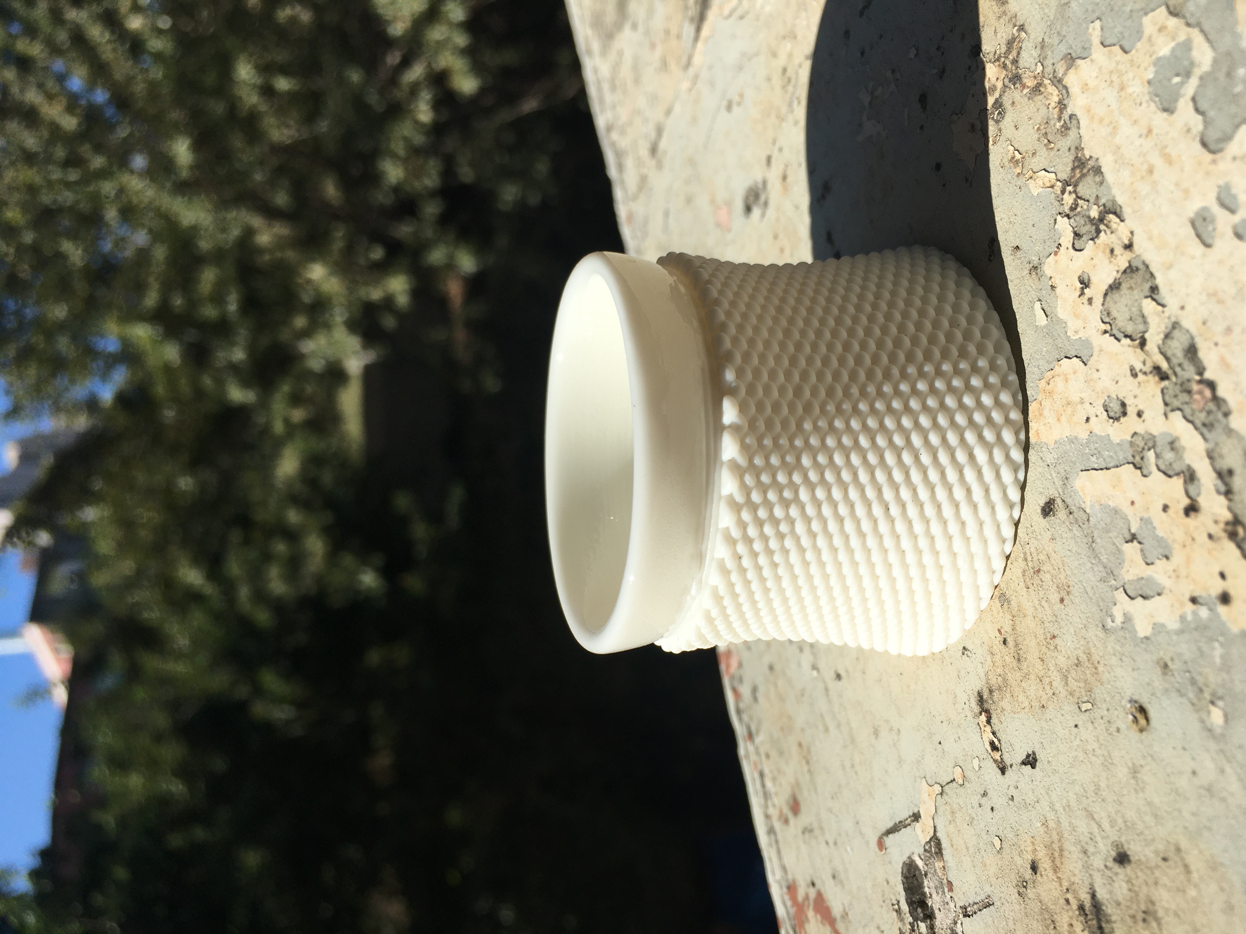 Printed Image