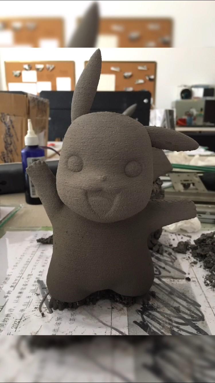 Printed Image