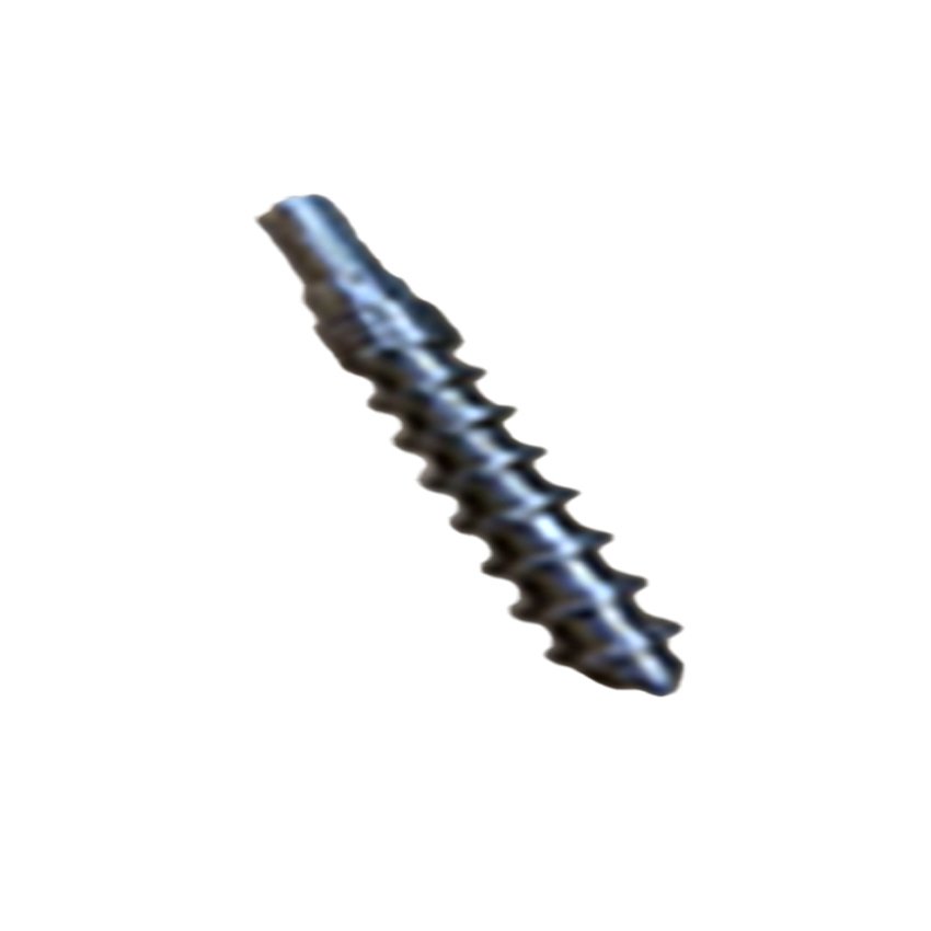 Customizable Screw for Clay Printer